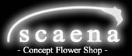 scaena - Concept Flower Shop -